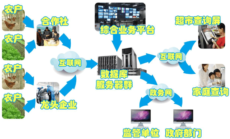 建設(shè)農(nóng)產(chǎn)品溯源系統(tǒng)的目的與信息技術(shù)咨詢服務(wù)的角色